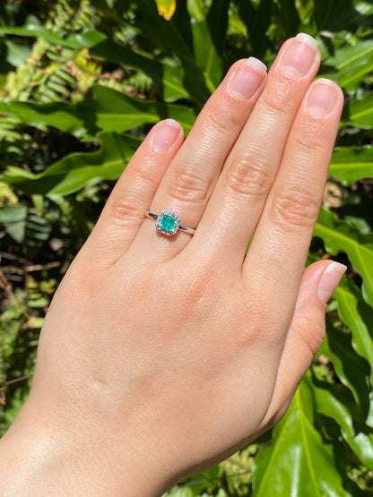 14K gold emerald and diamond halo ring.